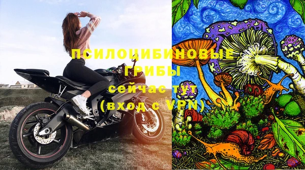 марки lsd Инта
