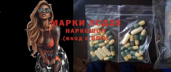 тгк Инсар
