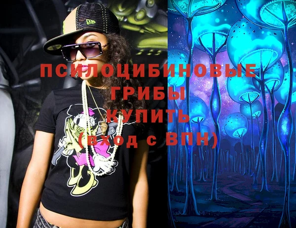 марки lsd Инта