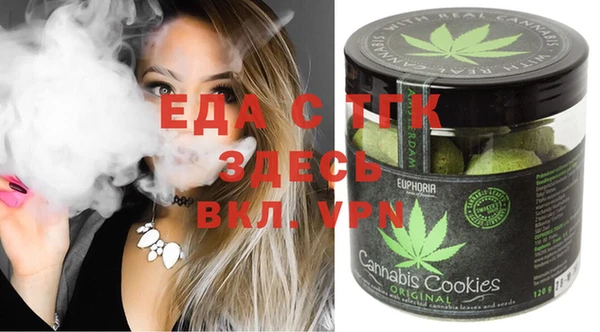 тгк Инсар