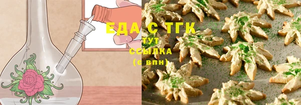тгк Инсар