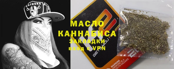 тгк Инсар