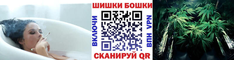 Бошки Шишки гибрид  Купить закладки  Дно 